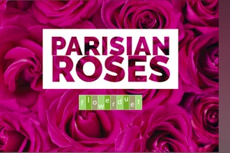 Parisian Roses